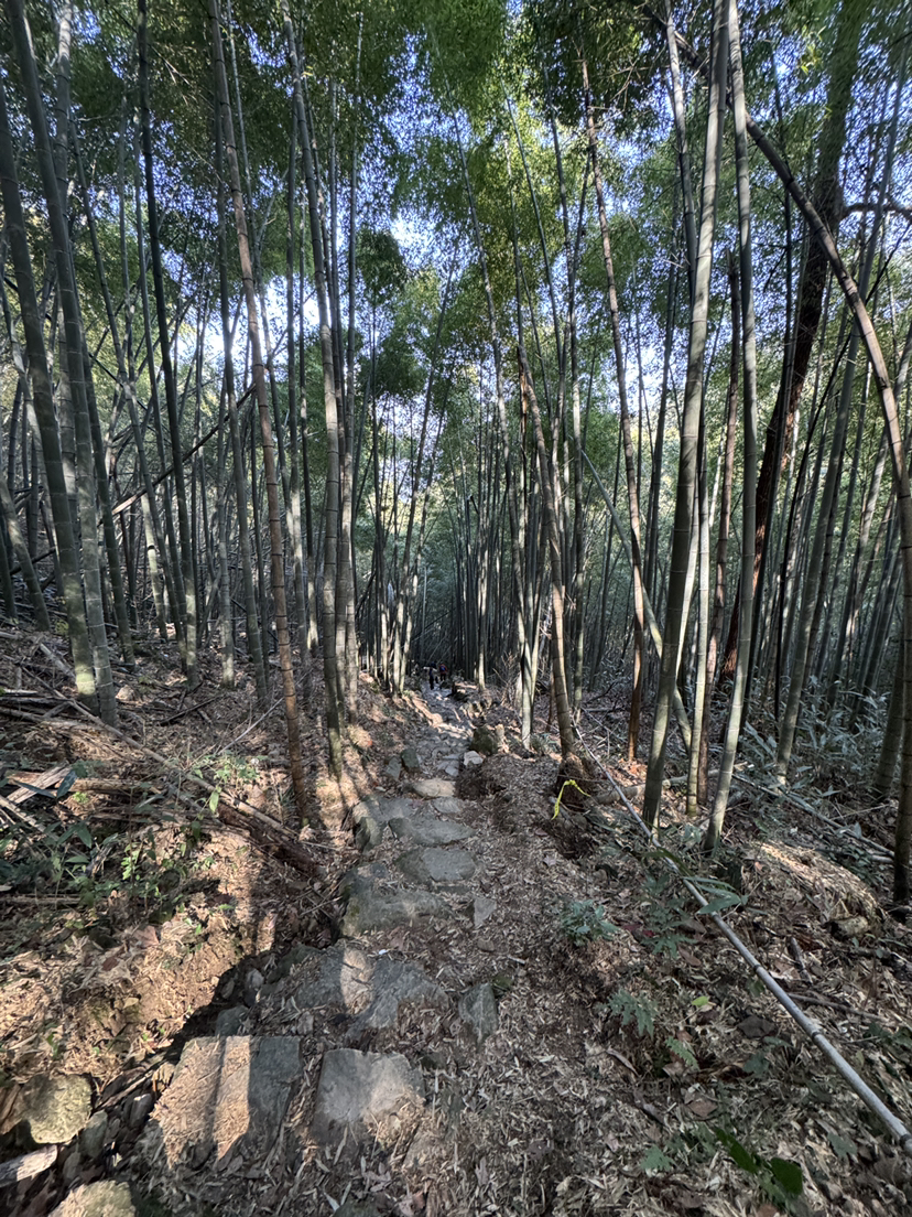 急剧之云石大环