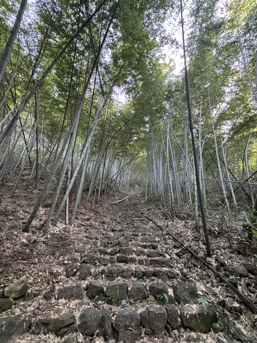急剧之云石大环