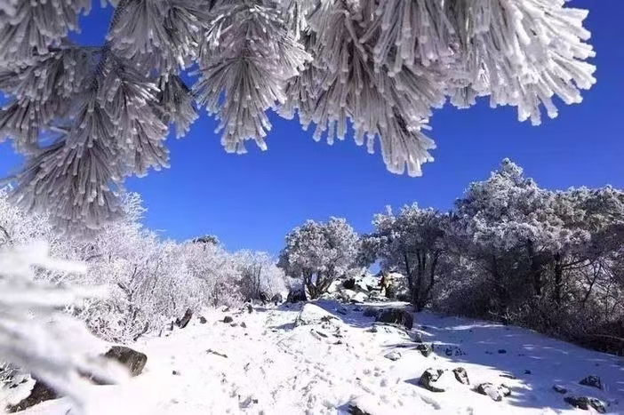 龙王山