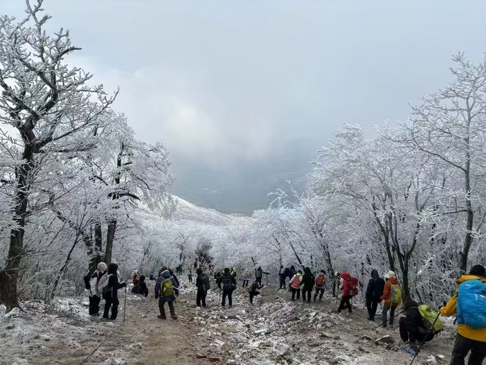 龙王山