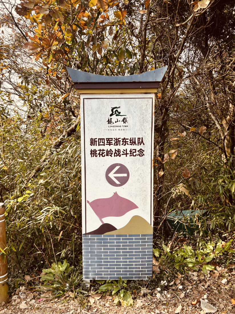九龙之巅