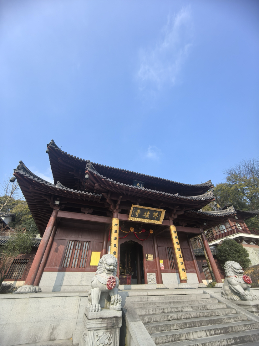 九龙之巅