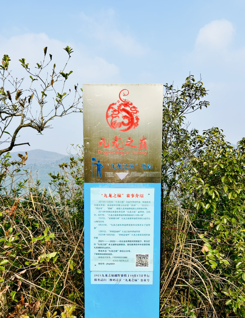 九龙之巅