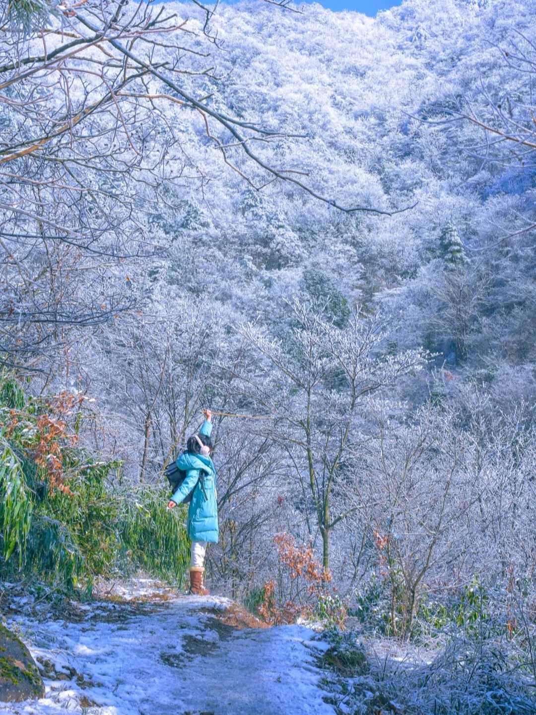 临安百丈岭
