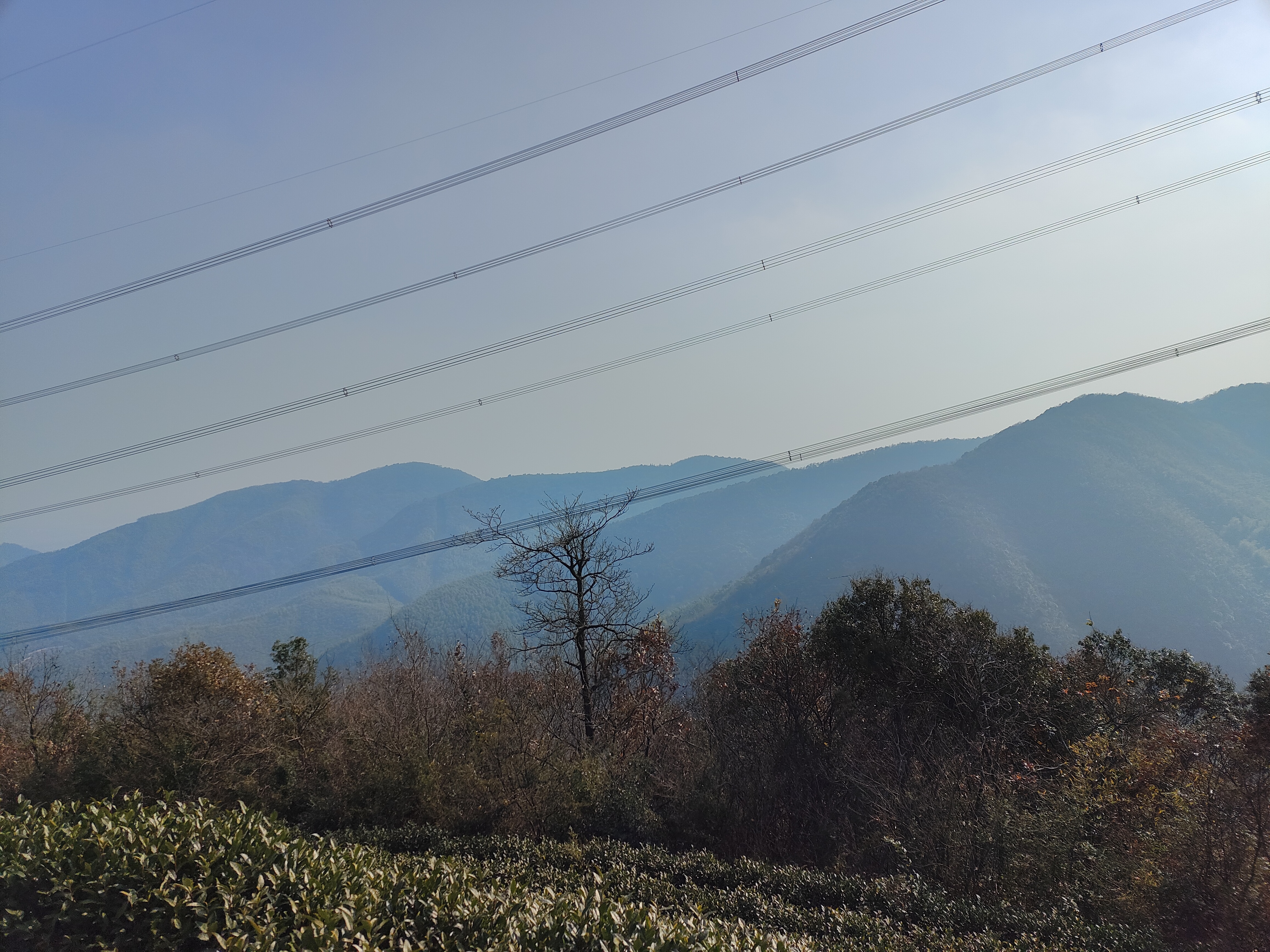 2024.12.14 无痕山野(二)