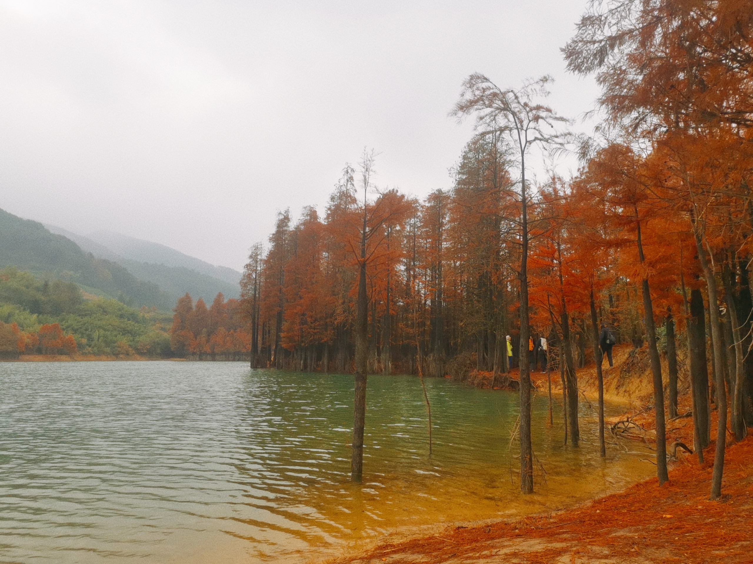 嵊州秋景烟雨更楼