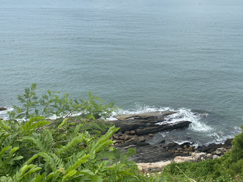 #跟着游客侠去旅游