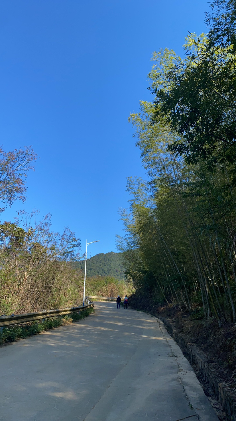 勇攀高峰，挑战自我