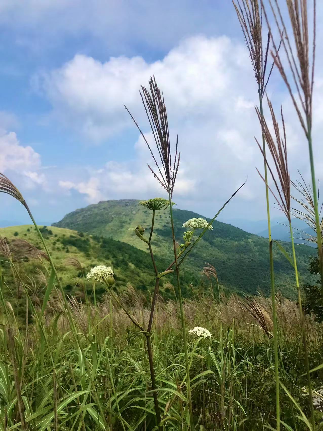 吴越古道之行
