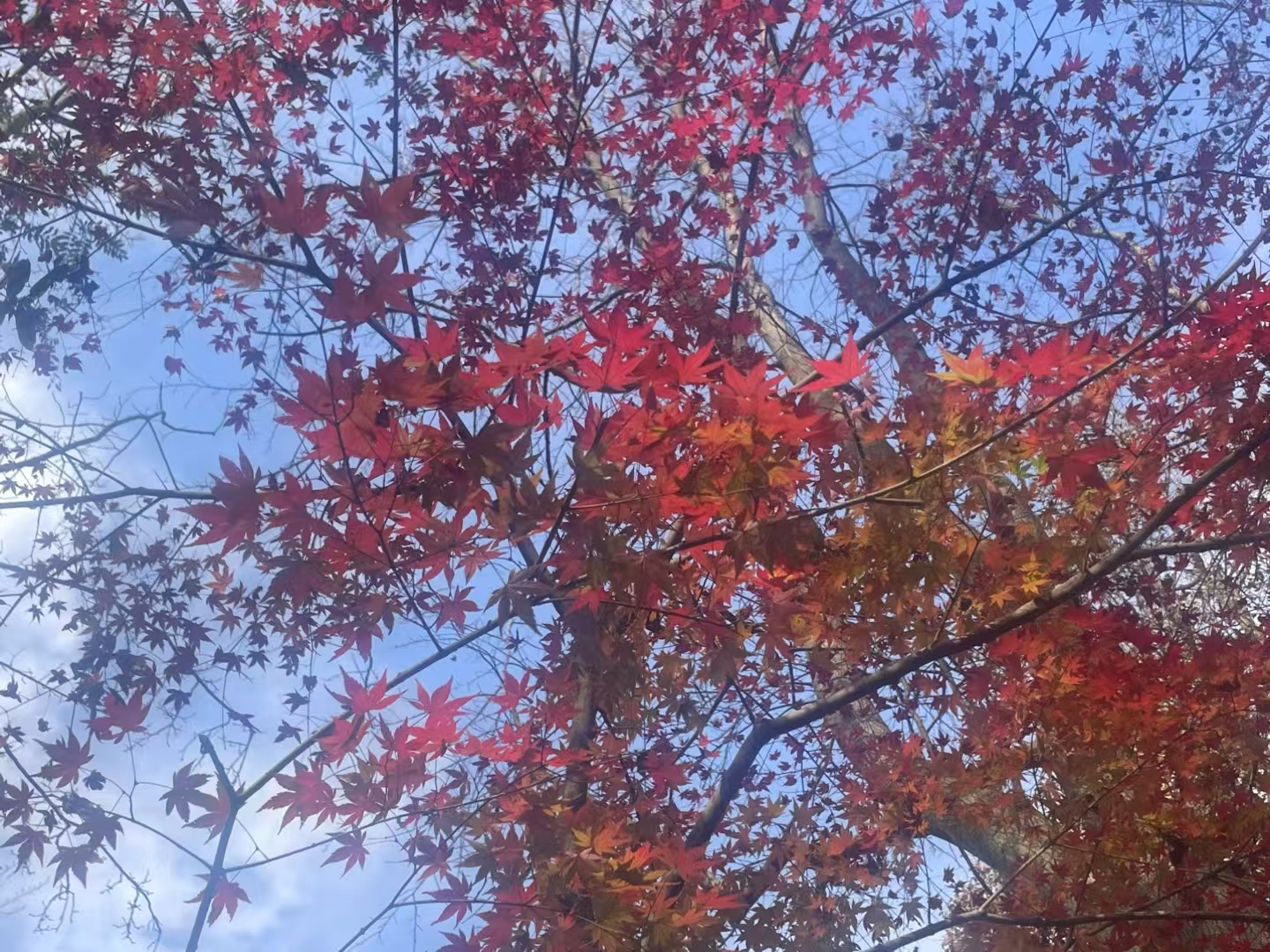 12月份的九溪