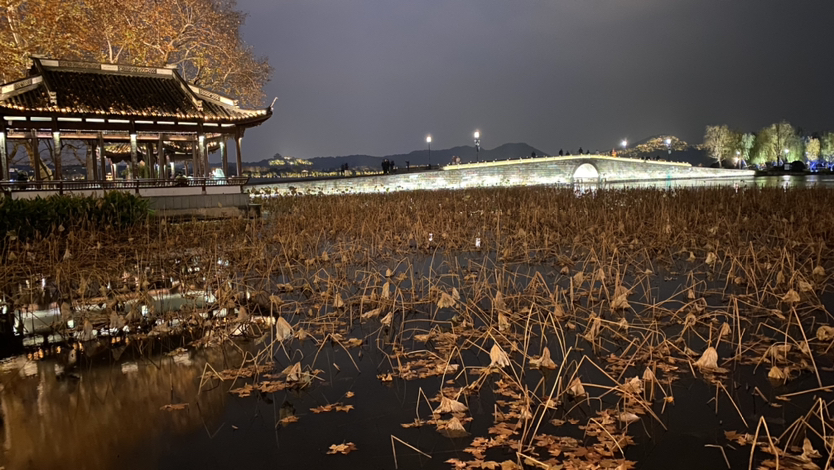 夜幕下的西湖。