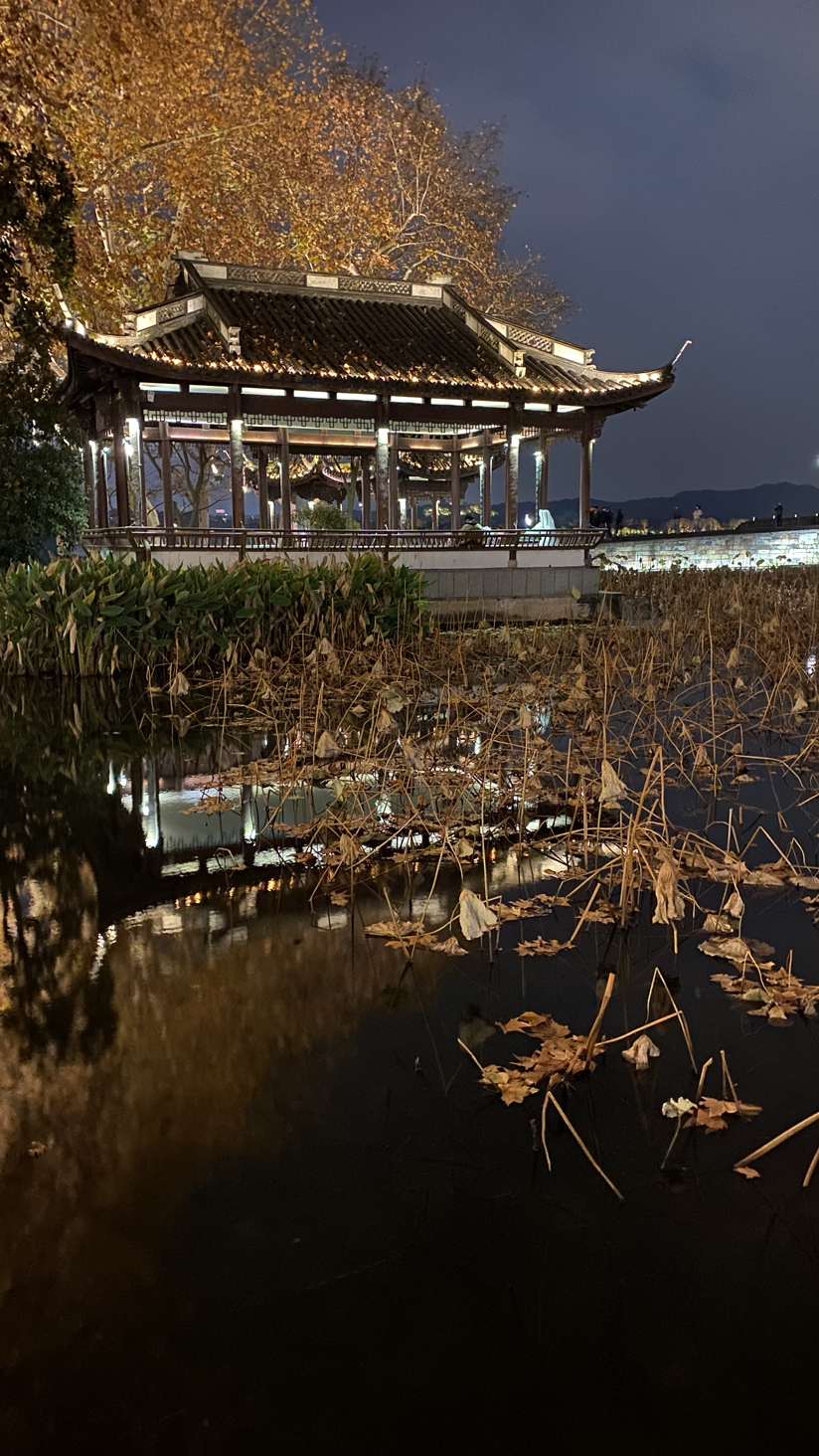 夜幕下的西湖。