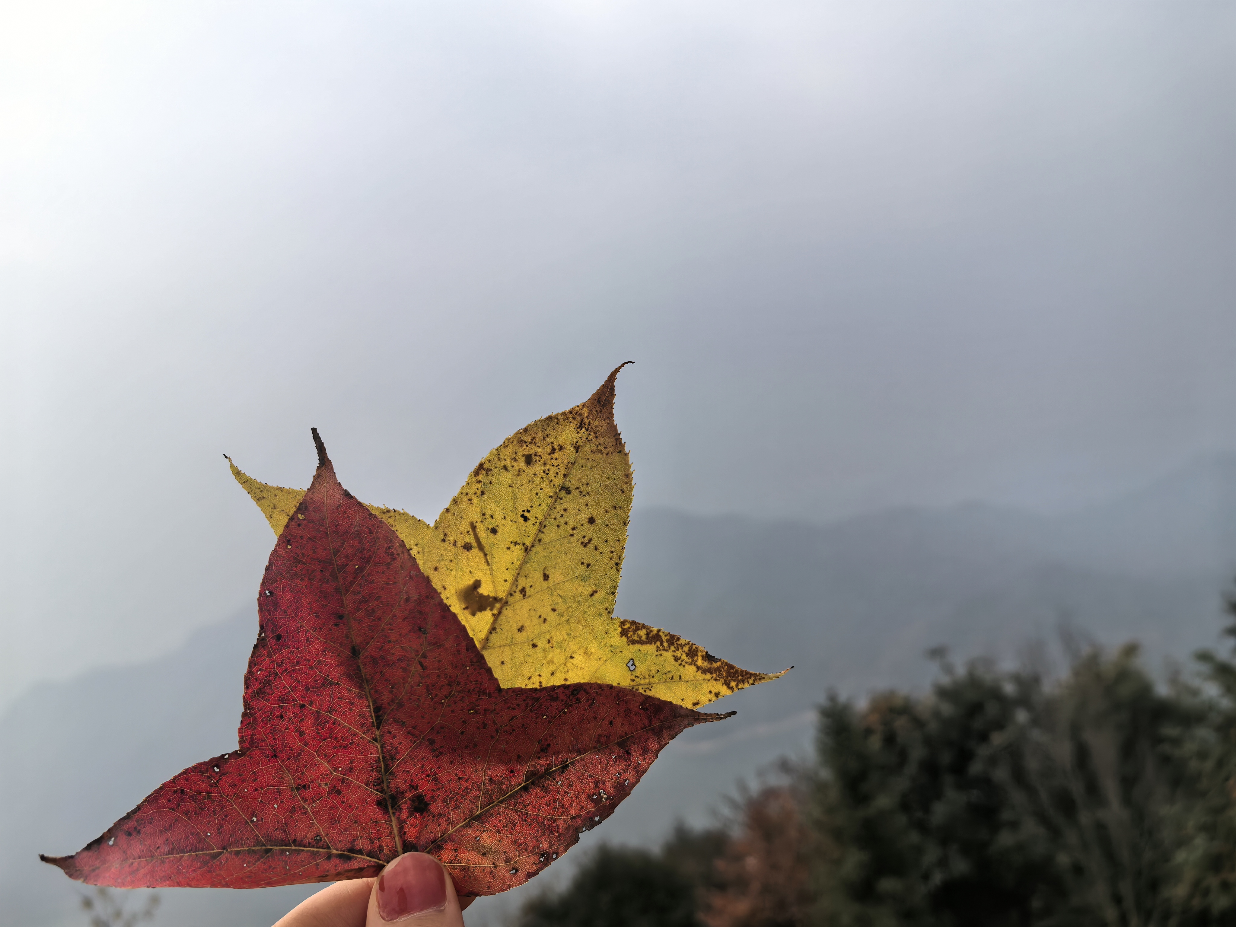 贵门乡南山水库