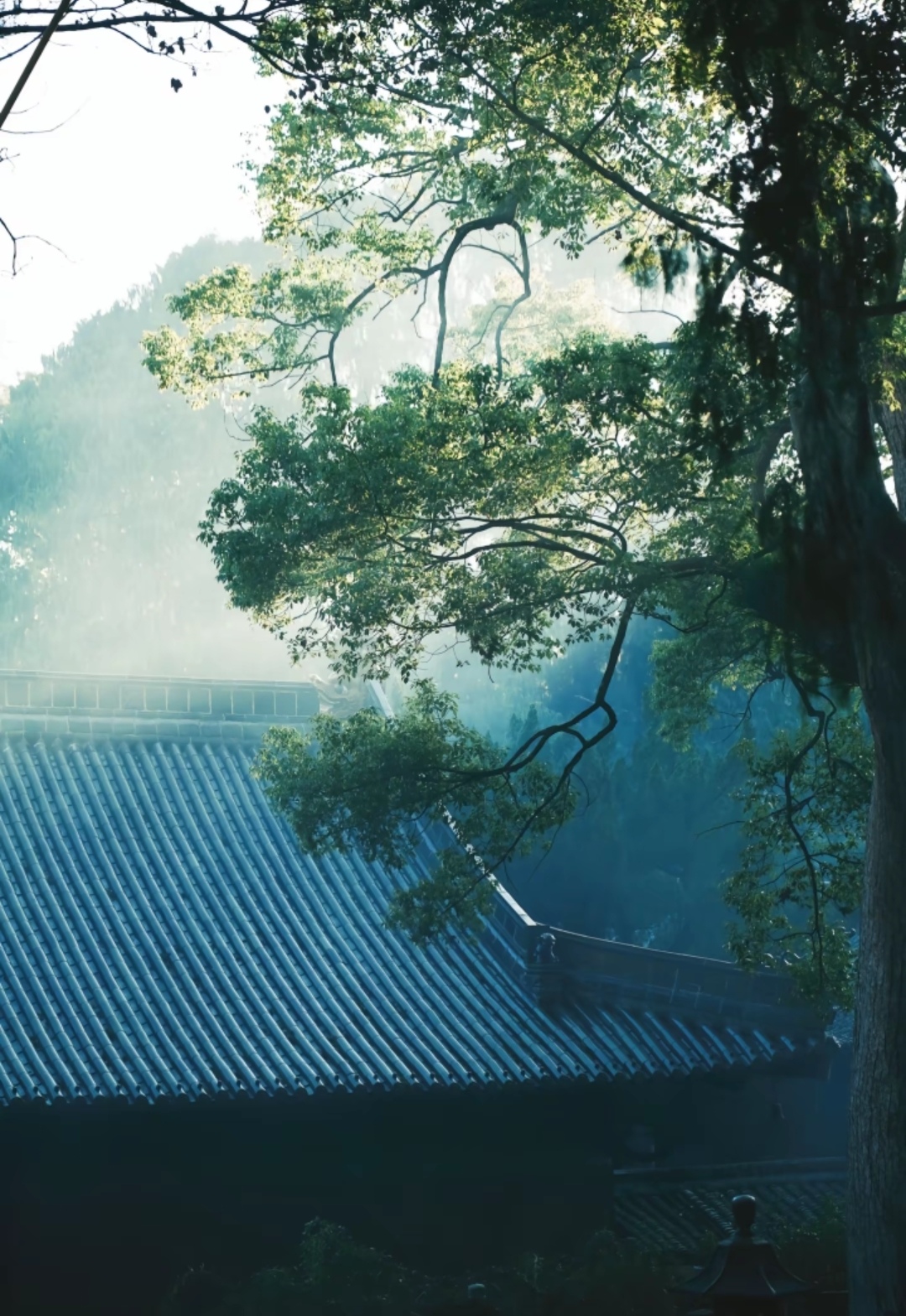 国清寺