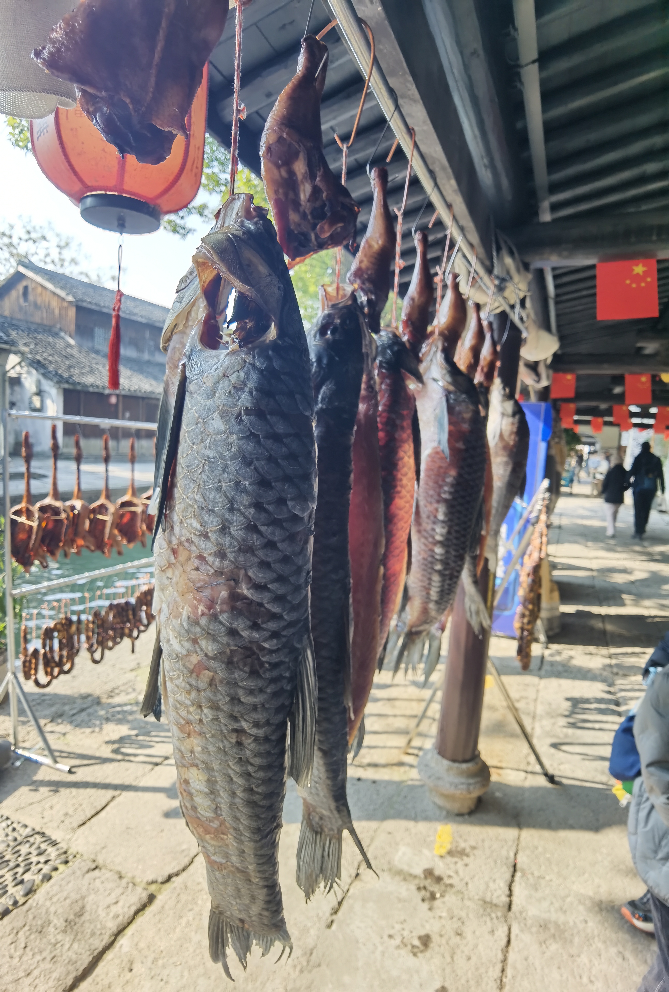 亲子慢时光(20241221亲子寻味绍兴)