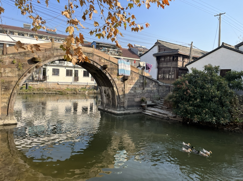 练市古镇