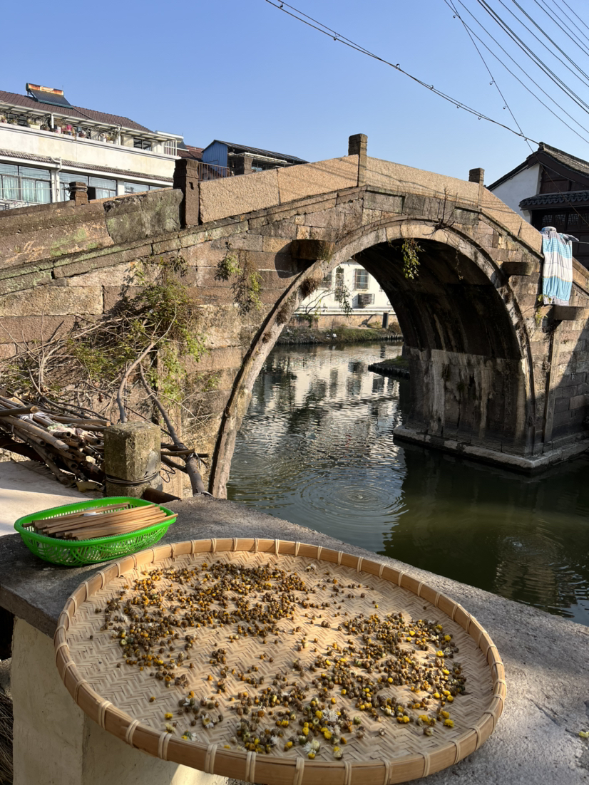 练市古镇