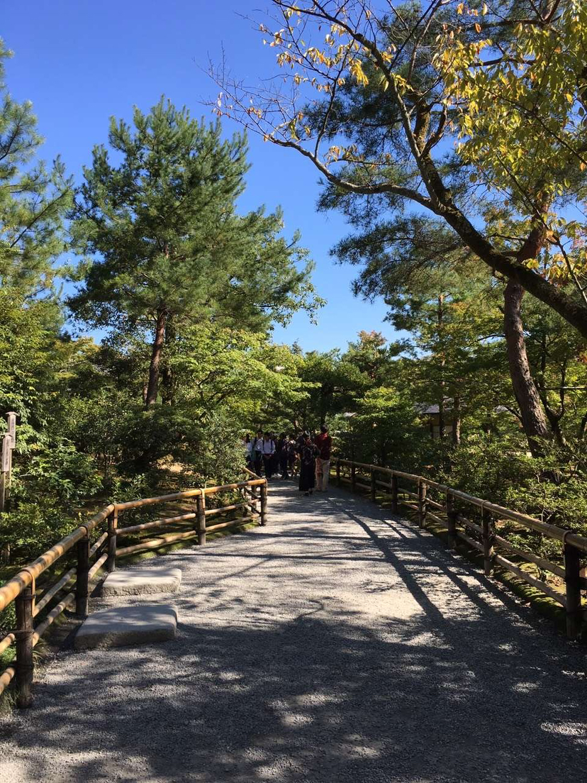 京都游记