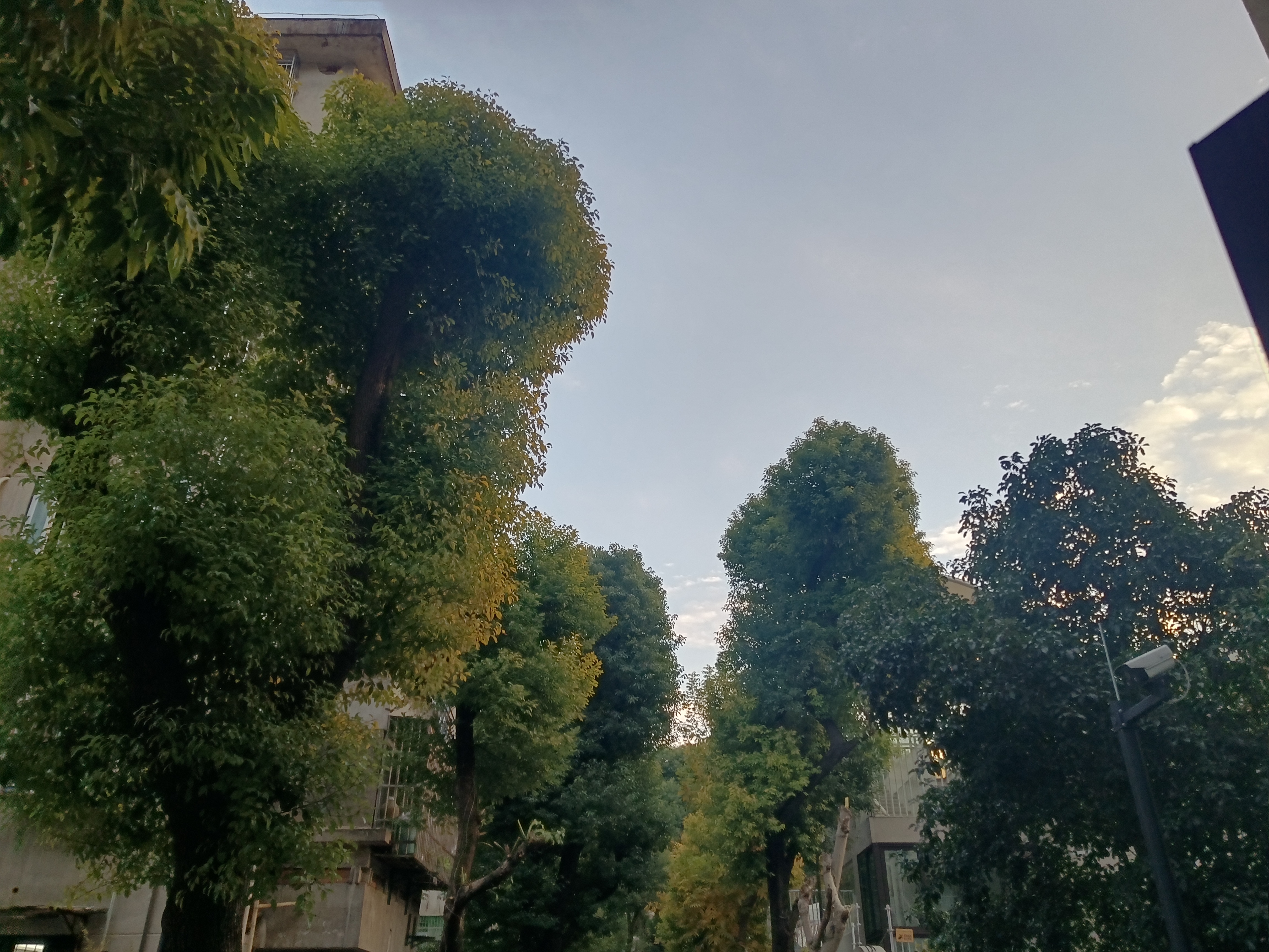 朝晖公园