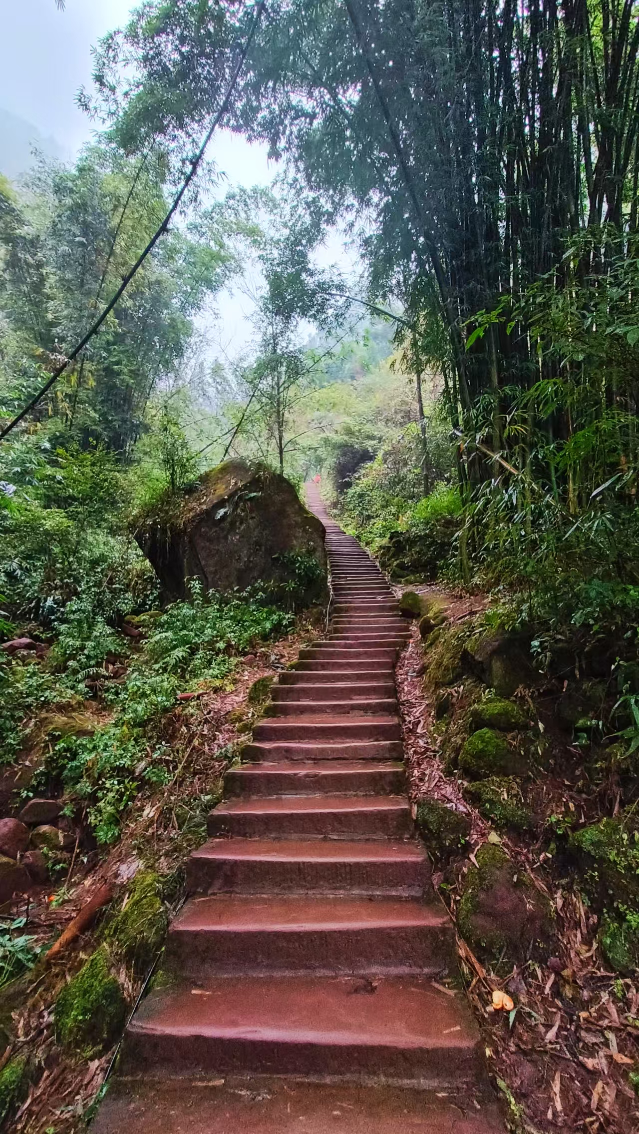 帮父亲记录药师岩的一天