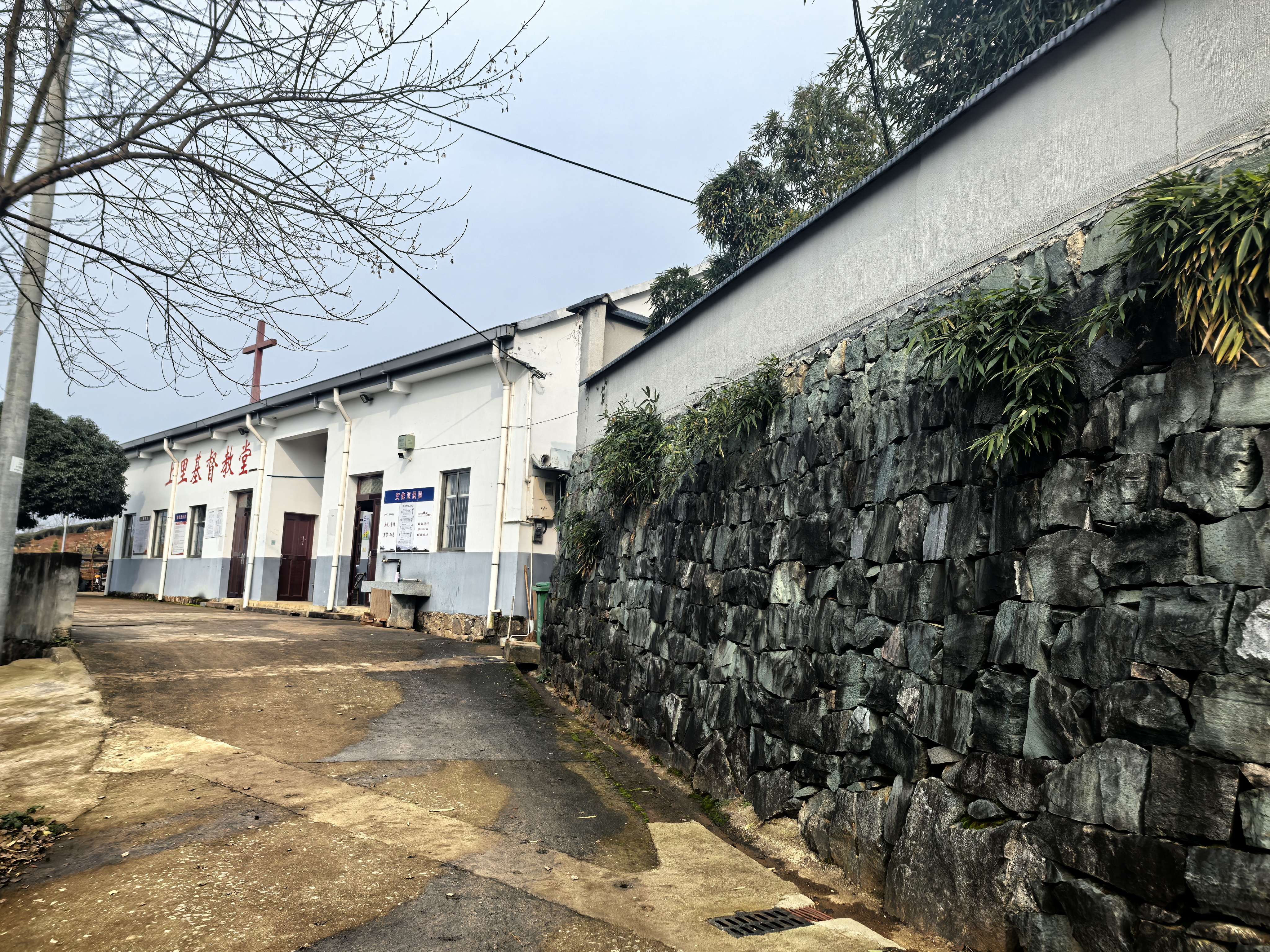 去看红杉