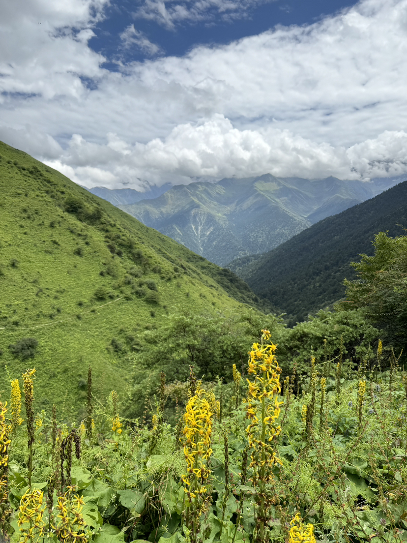 巴朗山游，第二次参加游侠客的活动，去到了巴朗山，整个路程是下穿，虽然路程非常长，但还是坚持下来了，平时路不累，但一有上坡的