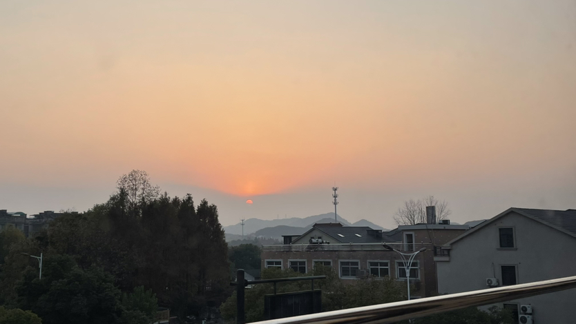周日