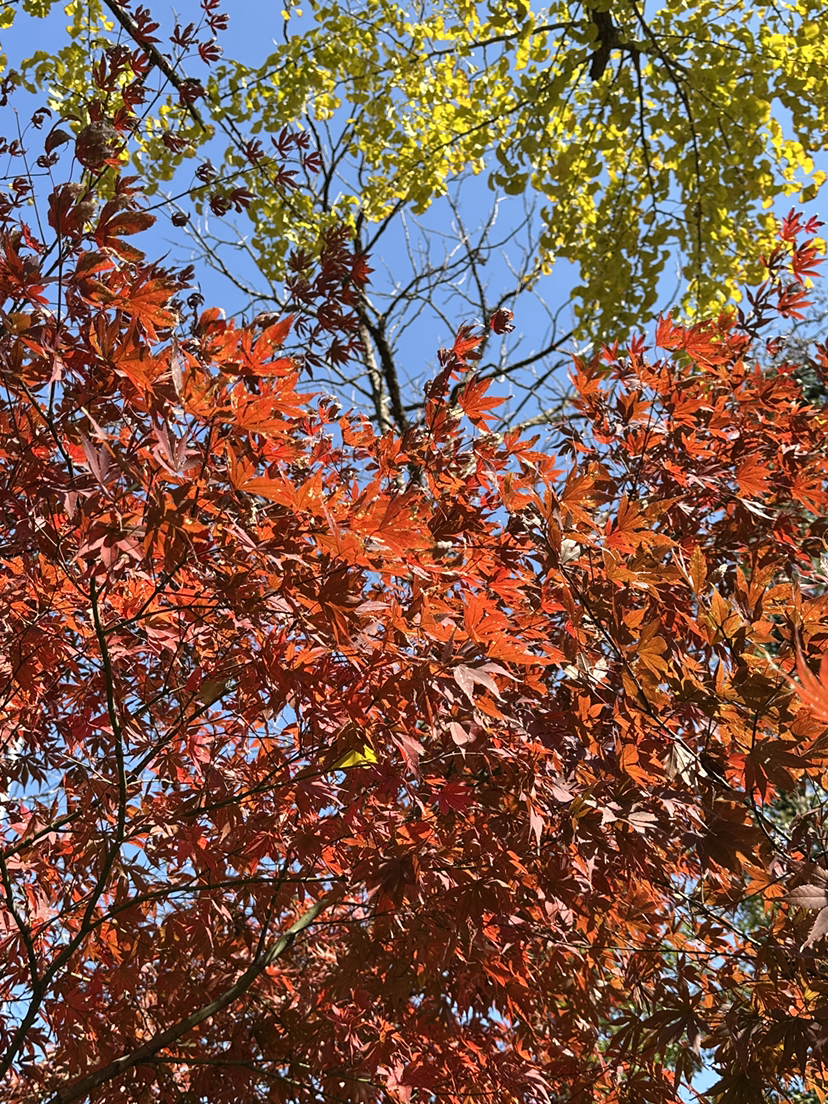 踏入长兴山水间，古道蜿蜒入云深。翠林蔽日溪潺潺，峰回路转景迷人。古迹遗气质犹存，一步一景皆醉心。汗水