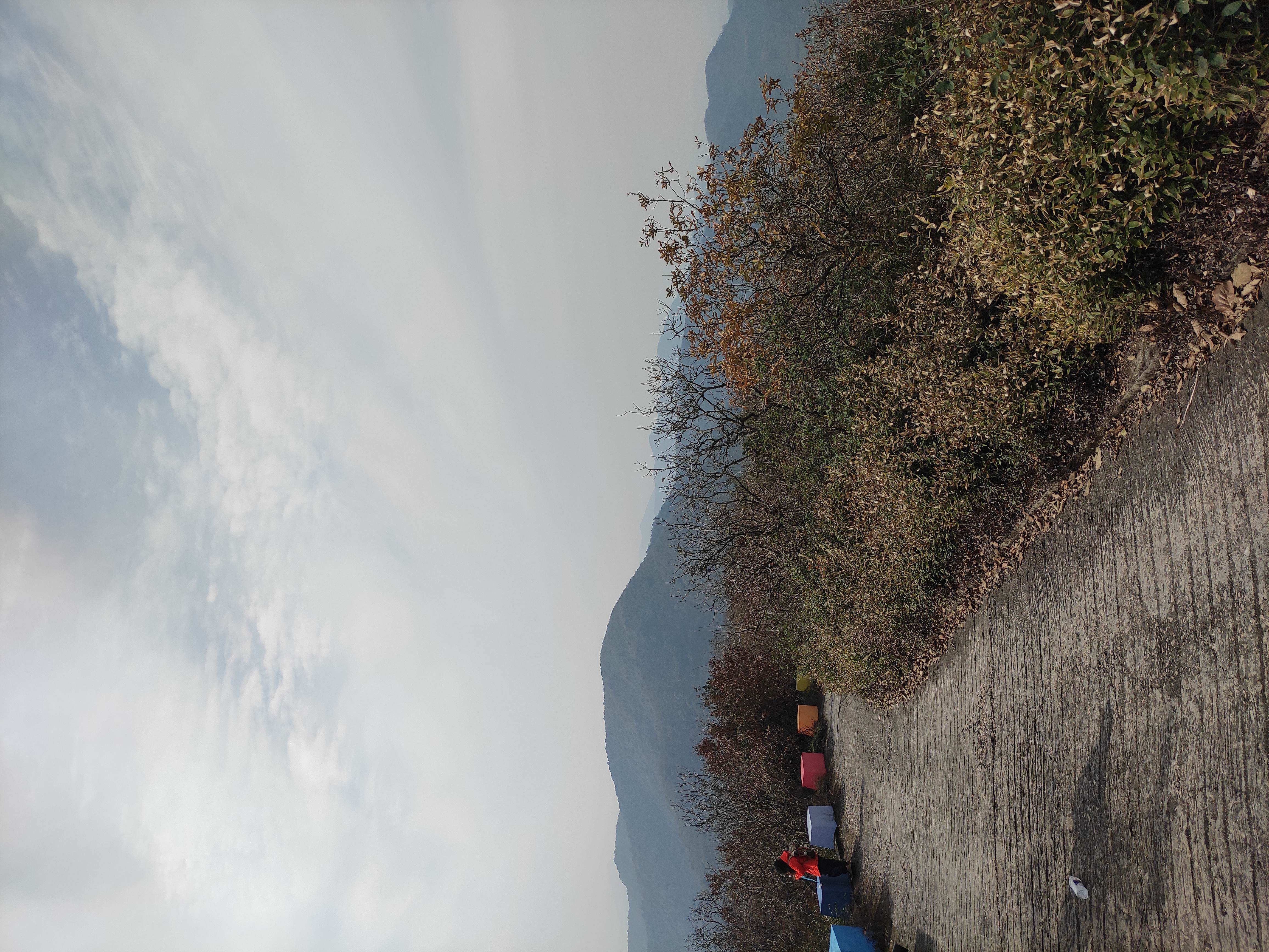 探秘湖州金盖山古道:自然与历史的交织