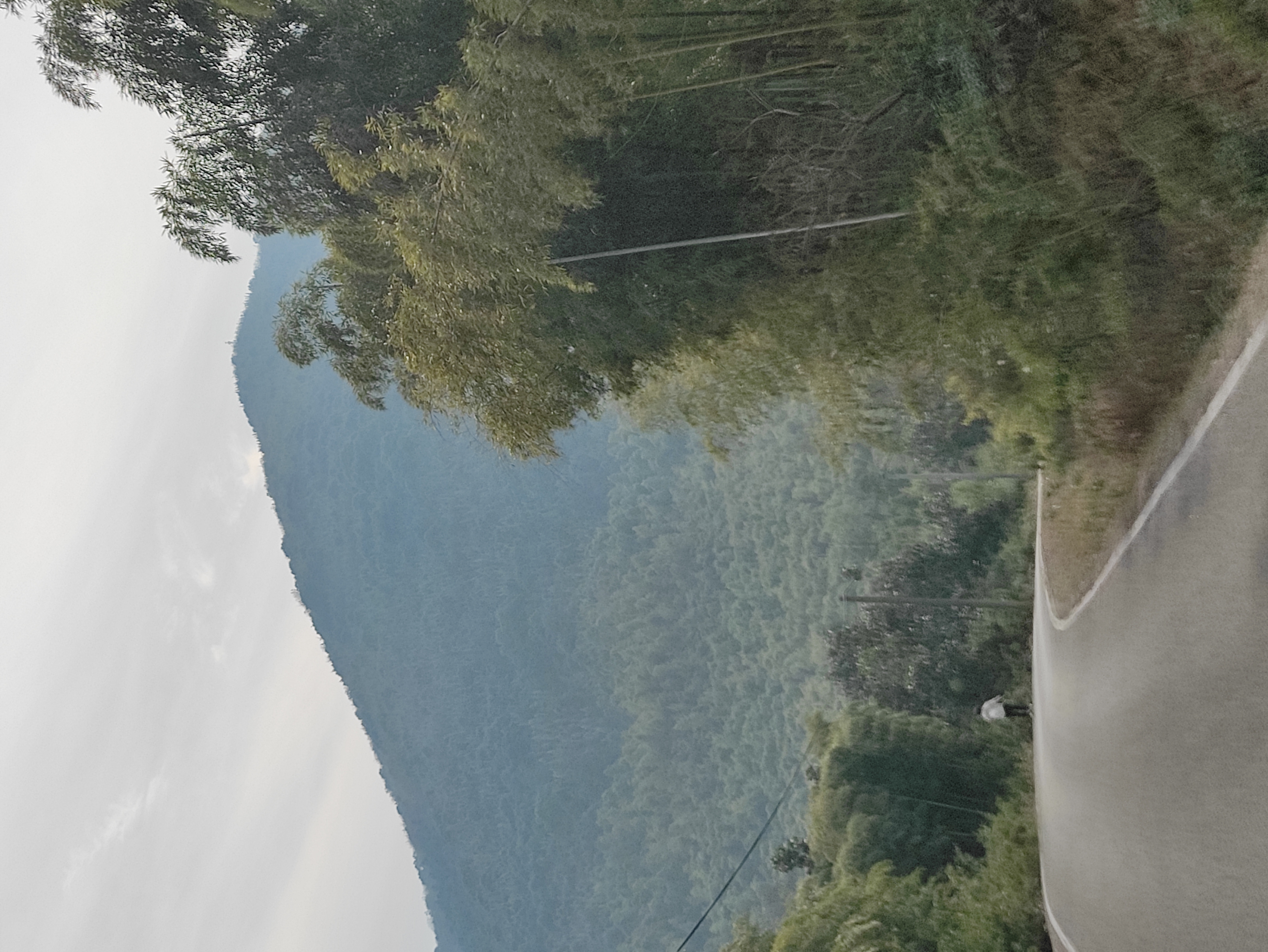 探秘湖州金盖山古道:自然与历史的交织