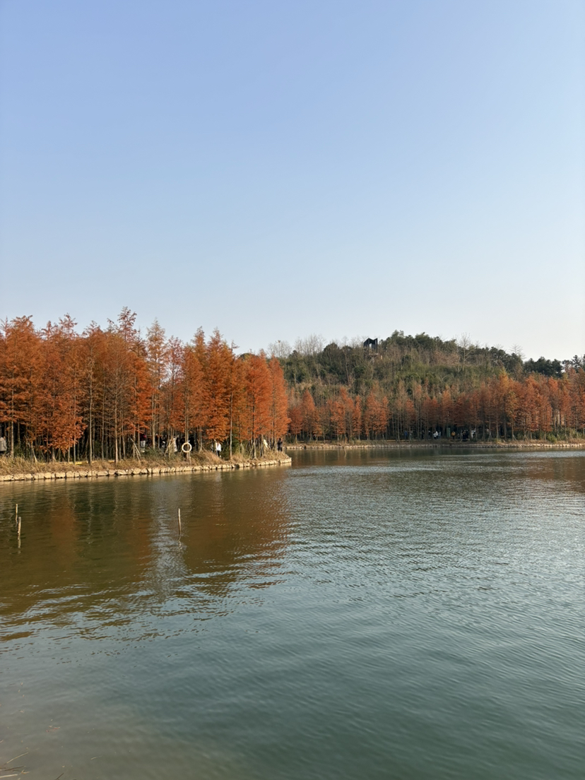 冬至岁寒岁岁平安