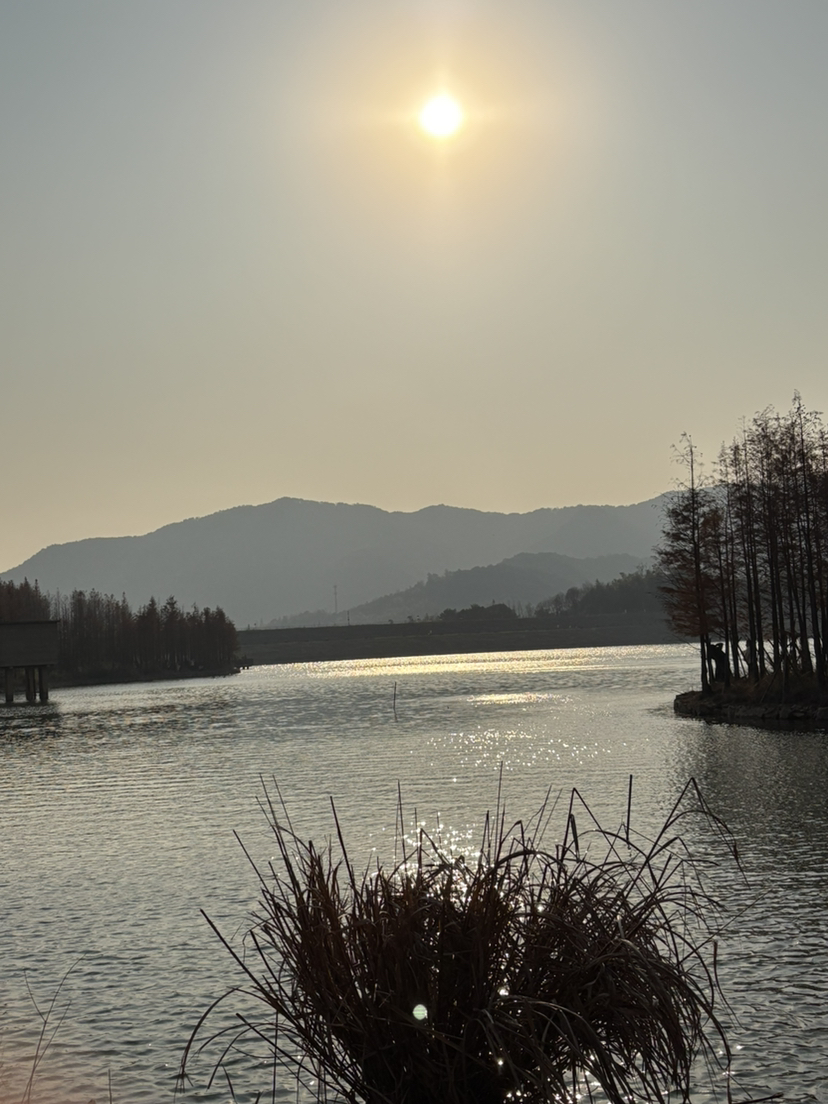 冬至岁寒岁岁平安