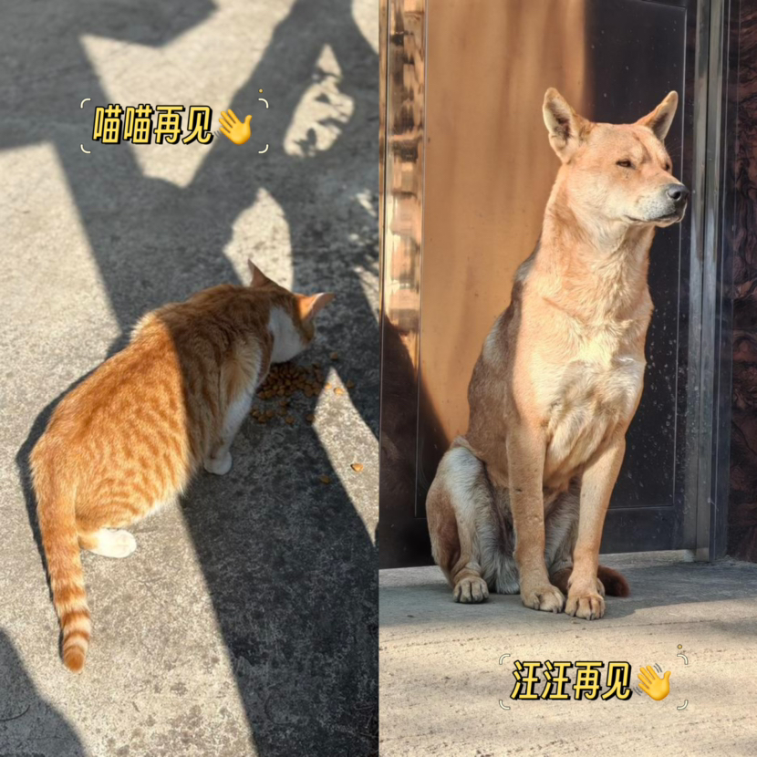 三见更楼:户外不就是,一边有病、一边上瘾?