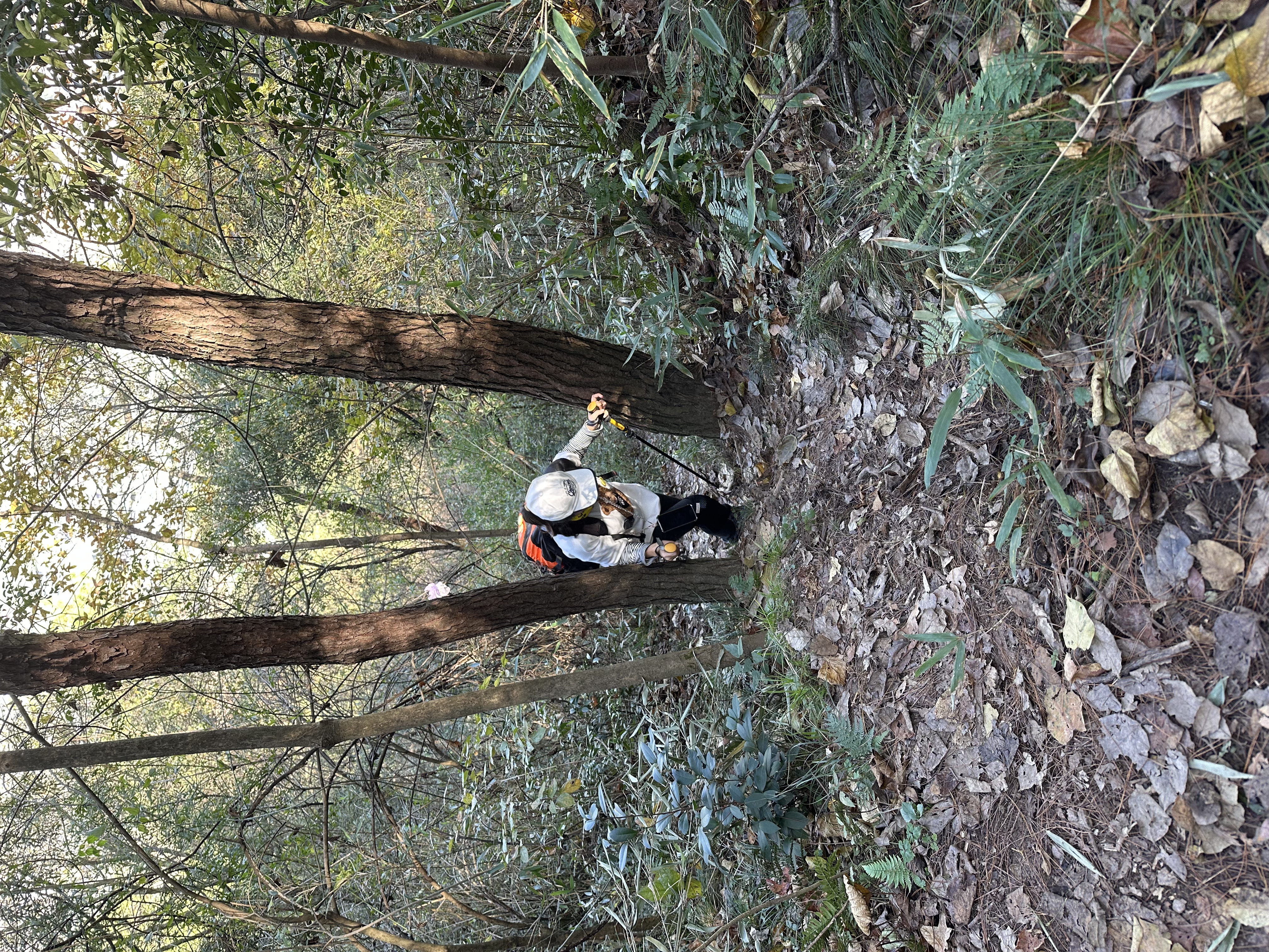 山野攀行百丈岩～险些迷失方向