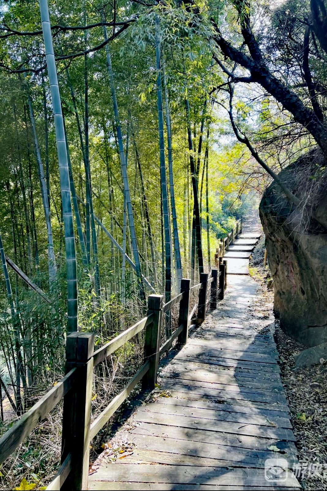 新年第一登,愿景与祝福同行—20250101急剧追山九龙之巅
