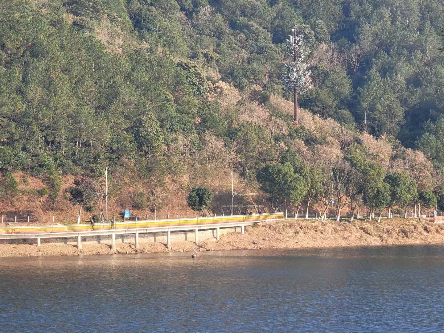 新年第一登,愿景与祝福同行—20250101急剧追山九龙之巅