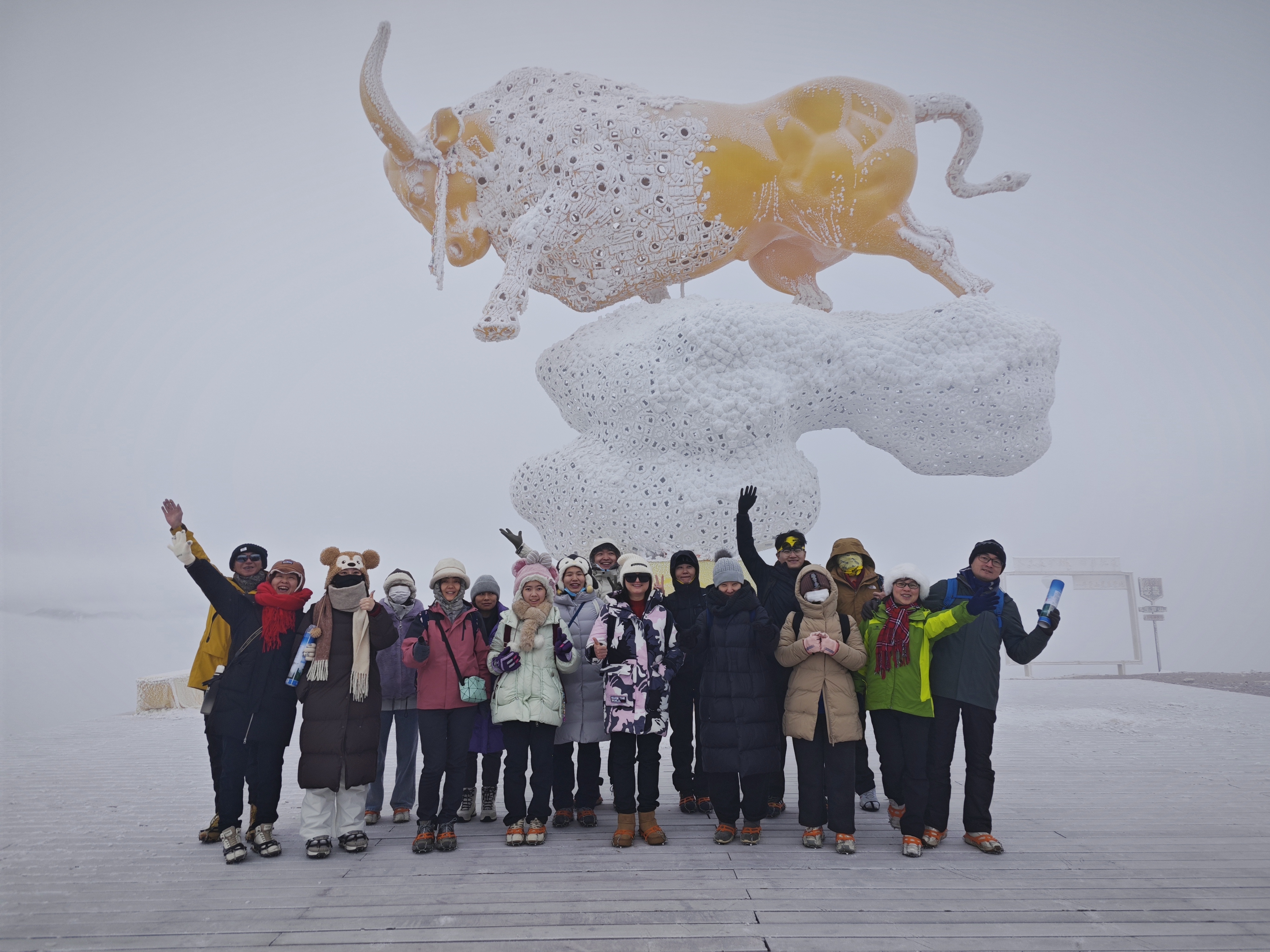 新年雪山巡礼,牛背山星辰营地旅游游记