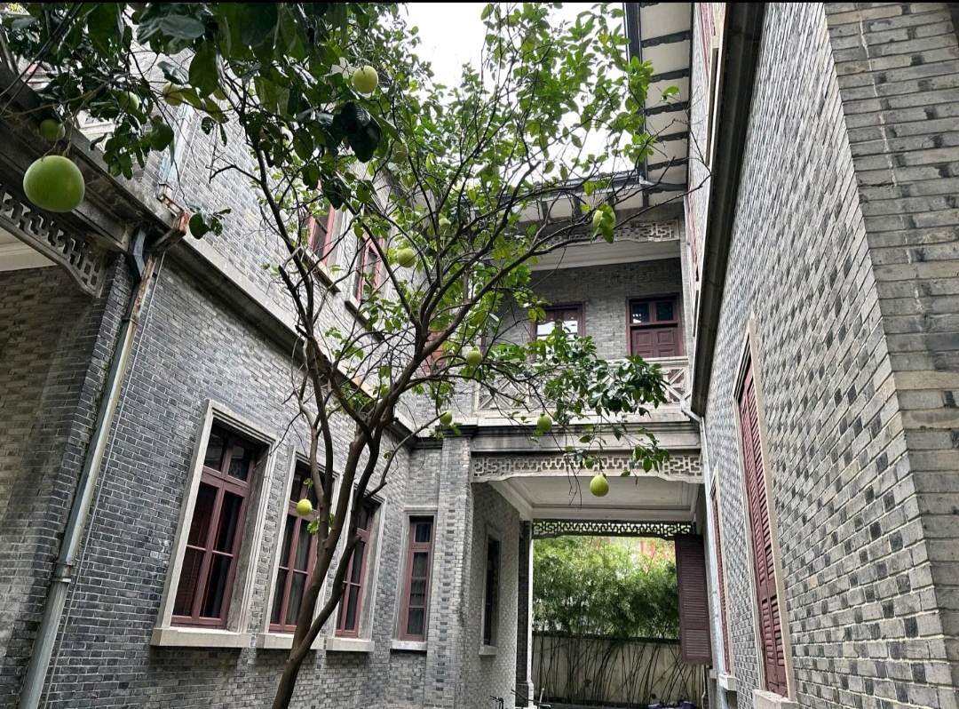 杭州金佳花园,杭州旅游游记