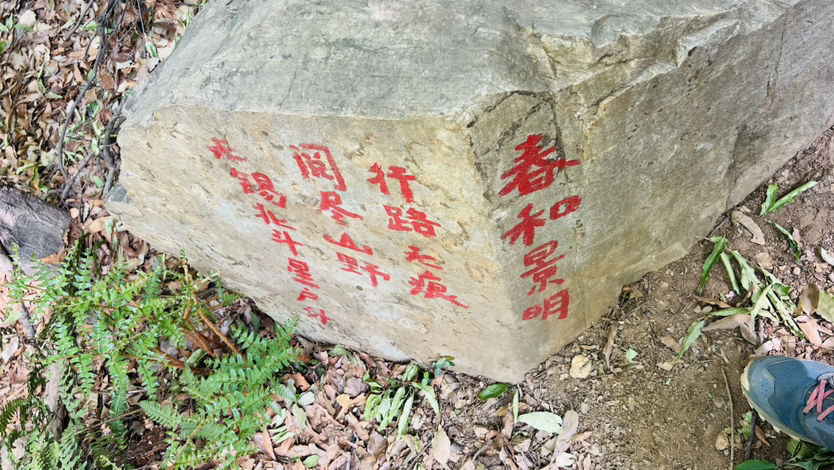 20250420惠山一枝花｜山里的石头会说话,无锡旅游游记