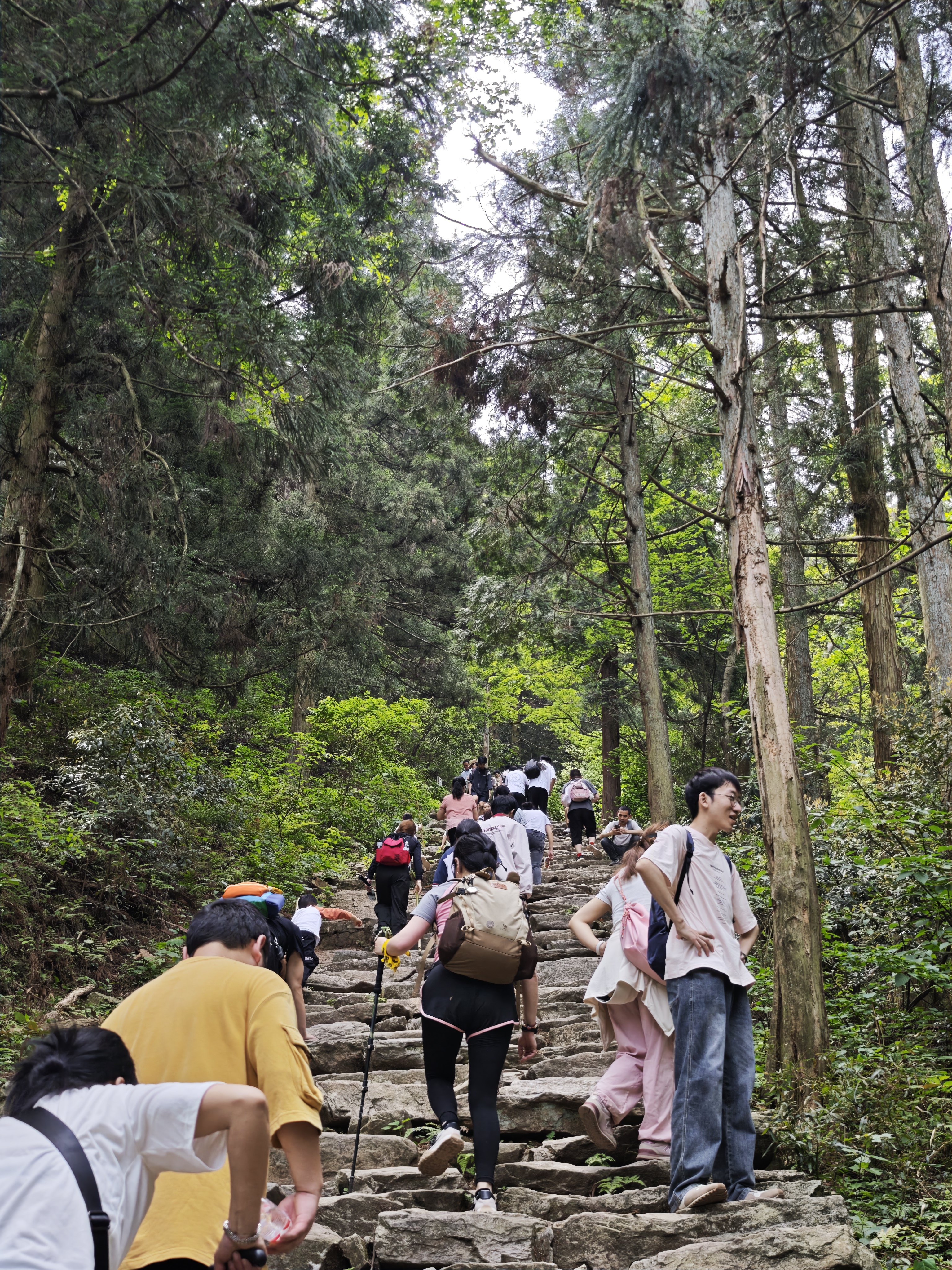 五一升龙霸之庐山篇,庐山旅游游记