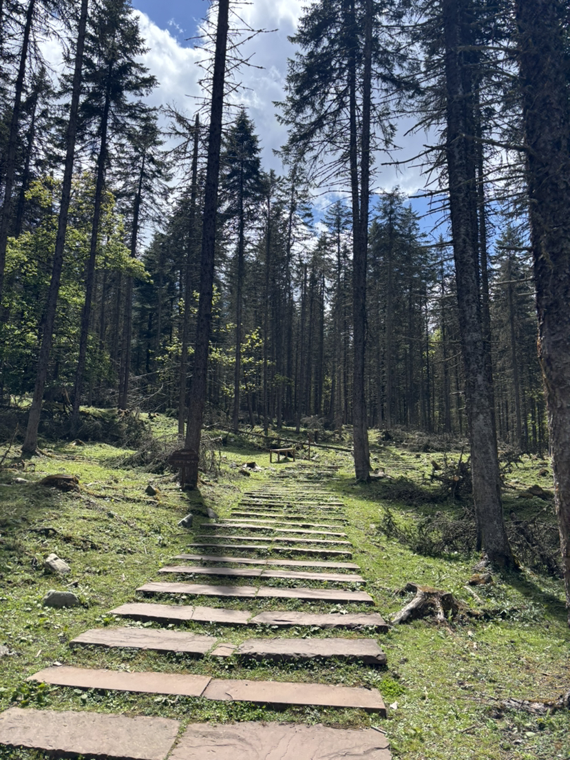 不同的达瓦更扎,达瓦更扎旅游游记