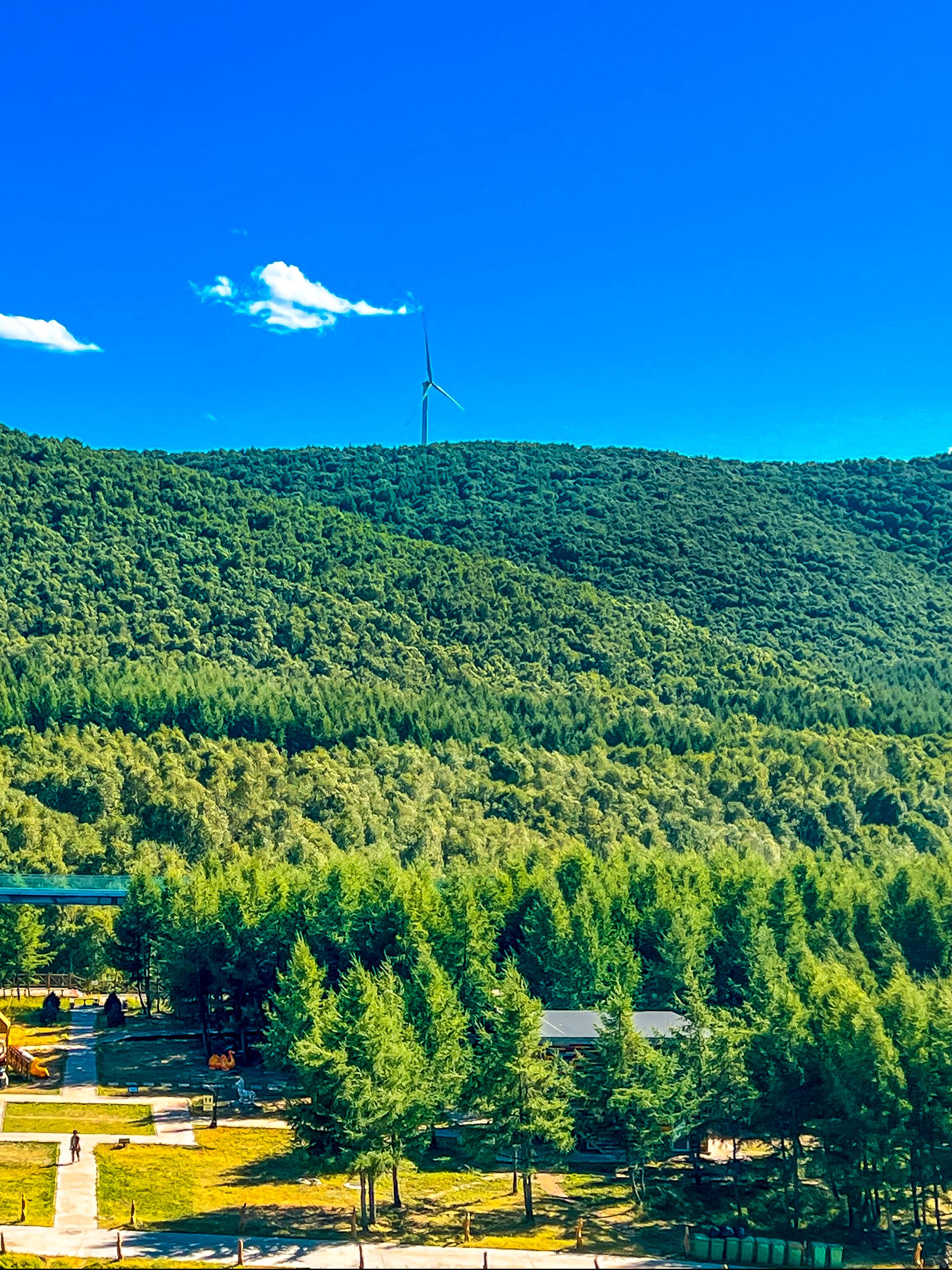 神仙谷七彩森林旅游攻略