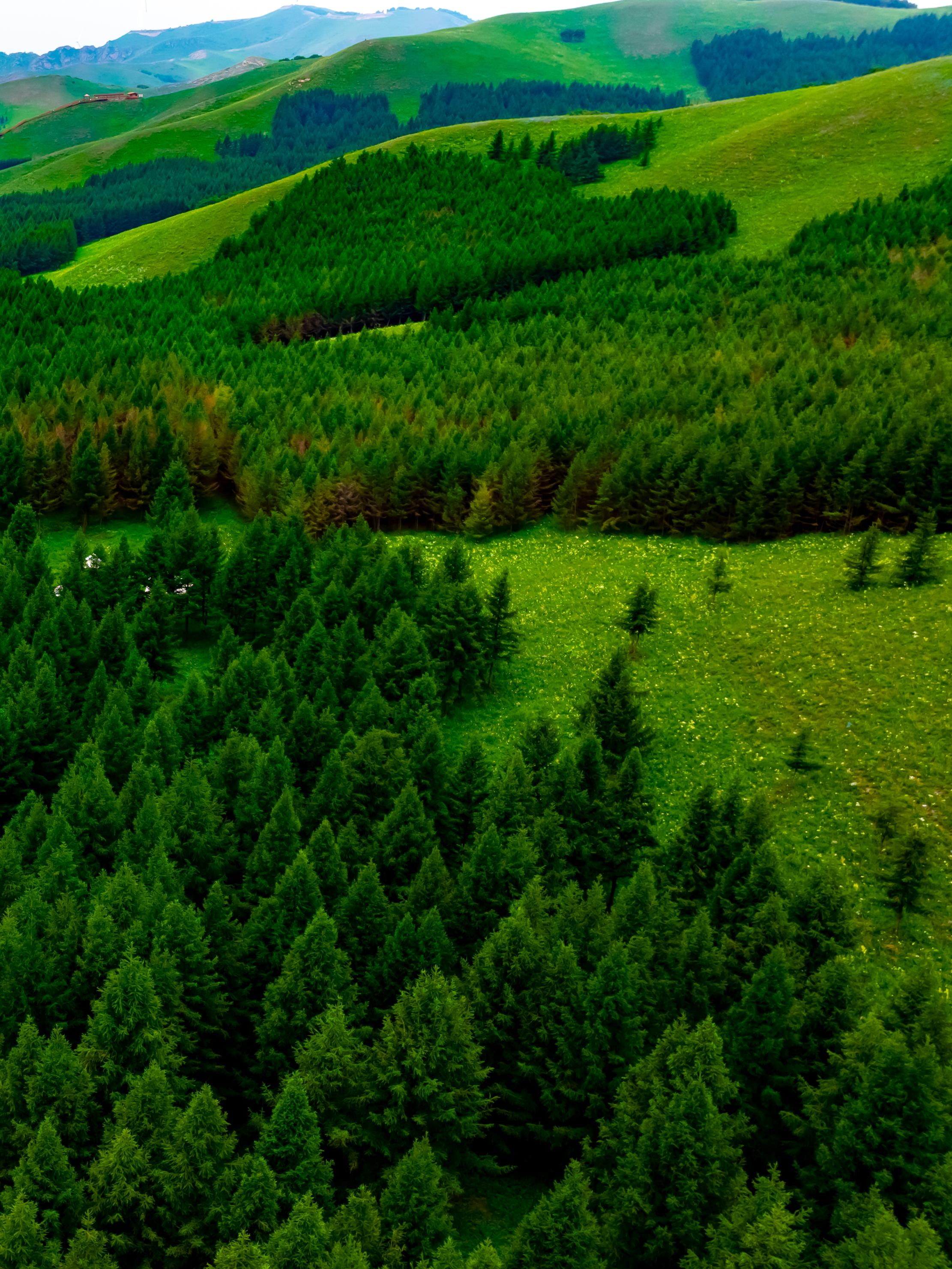 穿越七彩森林的云上天路,在天路之巅解锁新视角,神仙谷七彩森林旅游