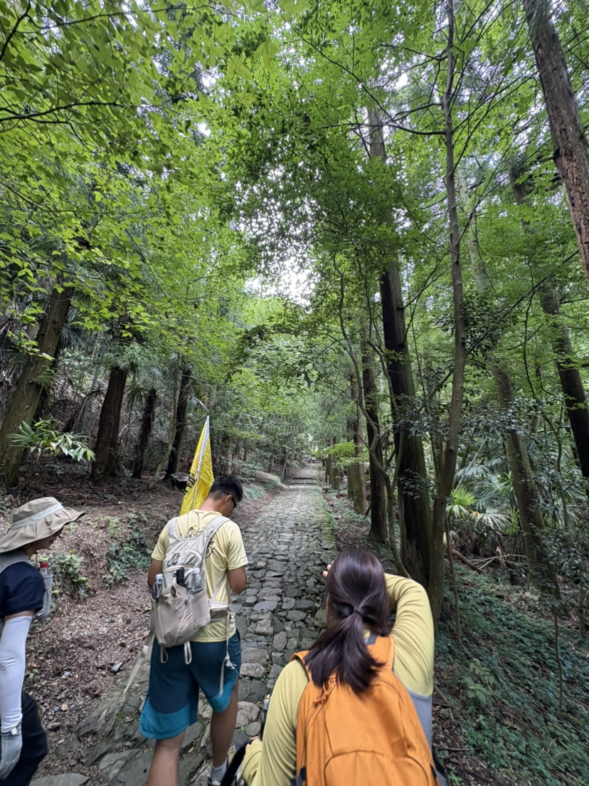 天目原始森林游记,上海旅游游记