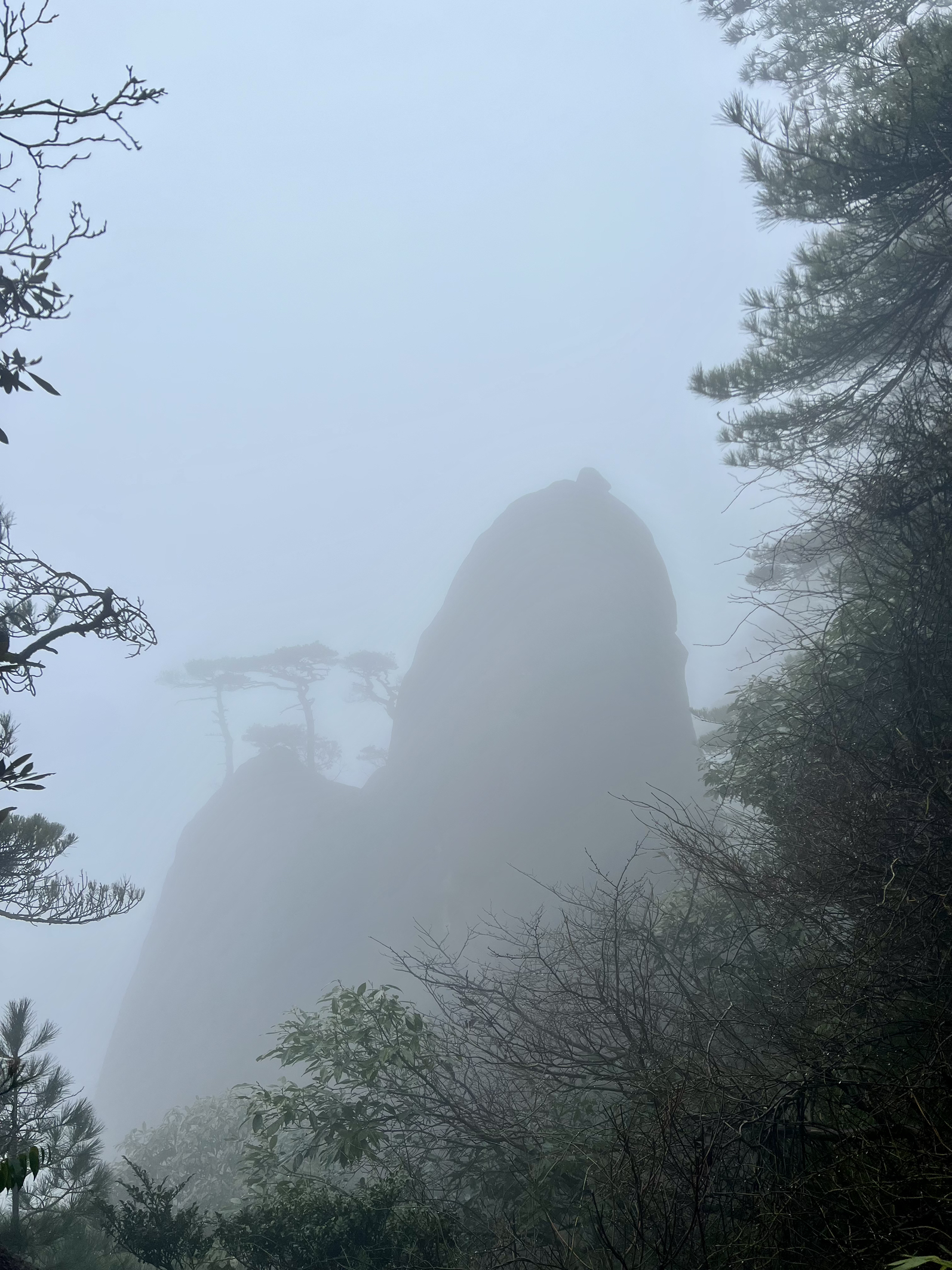 是什么怨种在三清山遇见了暴雨和大雾,三清山旅游游记|旅游网社区