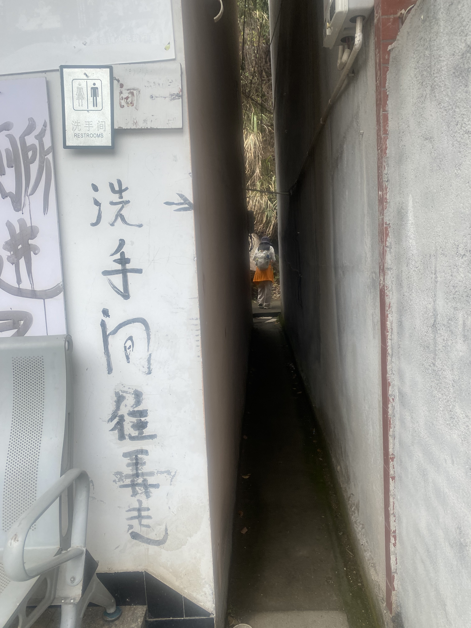 清明追樱记｜嵊州清潭坑，赴一场落樱漫山的春日之约,嵊州市旅游游记|旅游网社区