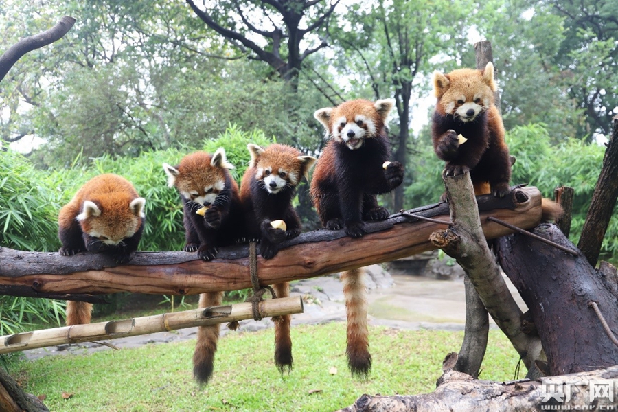 浙商博物馆旅游问答