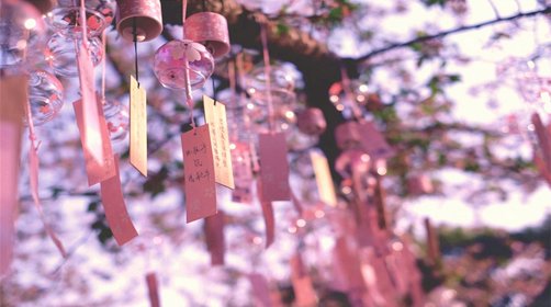 <a target='_blank' href='https://bbs.youxiake.com/mdd/3737.html'>鼋头渚</a>