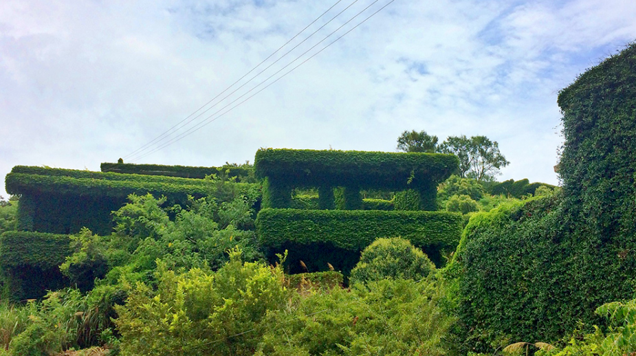 <a target='_blank' href='https://bbs.youxiake.com/mdd/5615.html'>衢山岛</a>