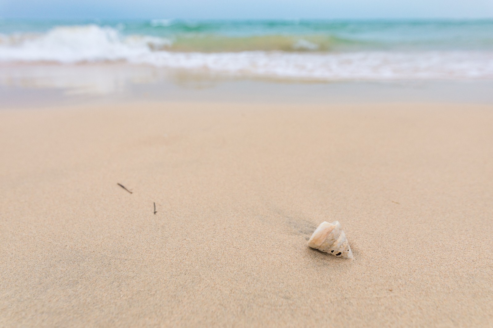 <a target='_blank' href='https://bbs.youxiake.com/mdd/1318.html'>涠洲岛</a>